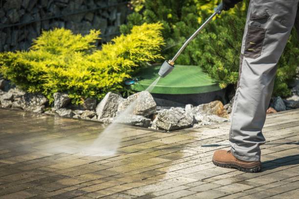 Best Dumpster Area Cleaning  in Arbuckle, CA