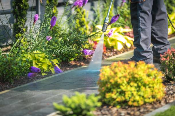 Best Post-Construction Pressure Washing  in Arbuckle, CA