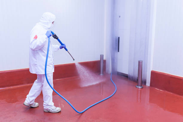 Trusted Arbuckle, CA Pressure Washing Services Experts