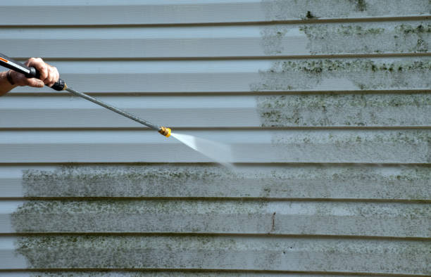 Best Driveway Pressure Washing  in Arbuckle, CA
